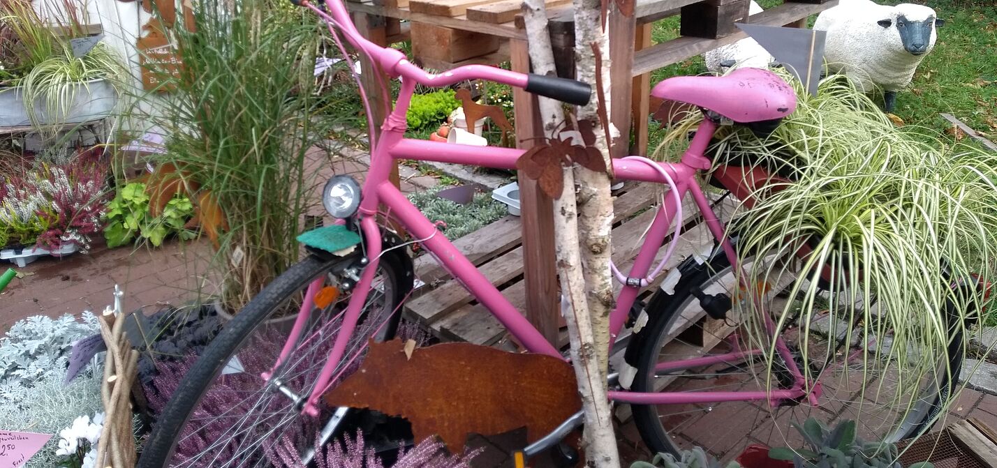 Fahrrad in pink