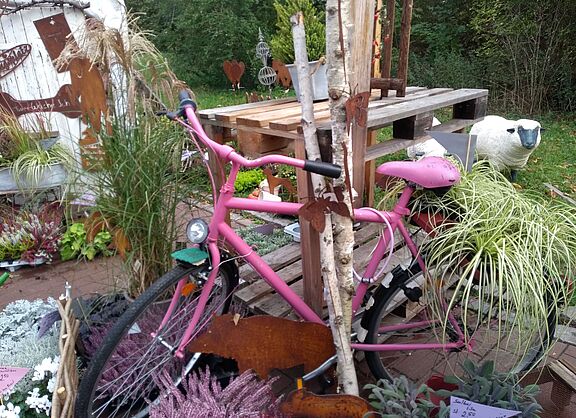 Fahrrad in pink